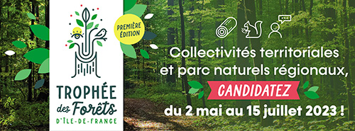 Trophée des forêts