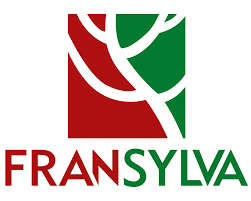logo fransylva 