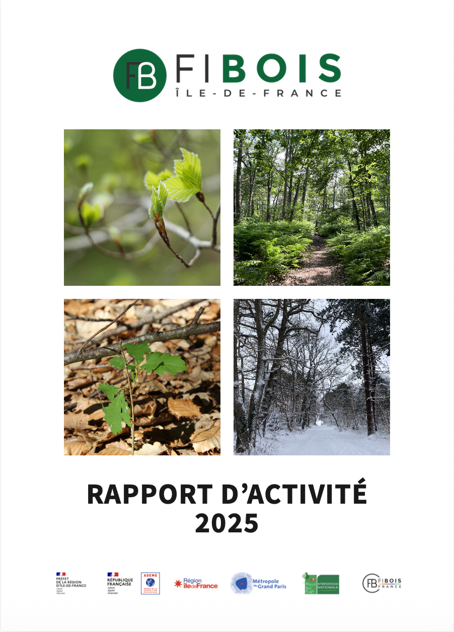 Rapport d'activité 2025