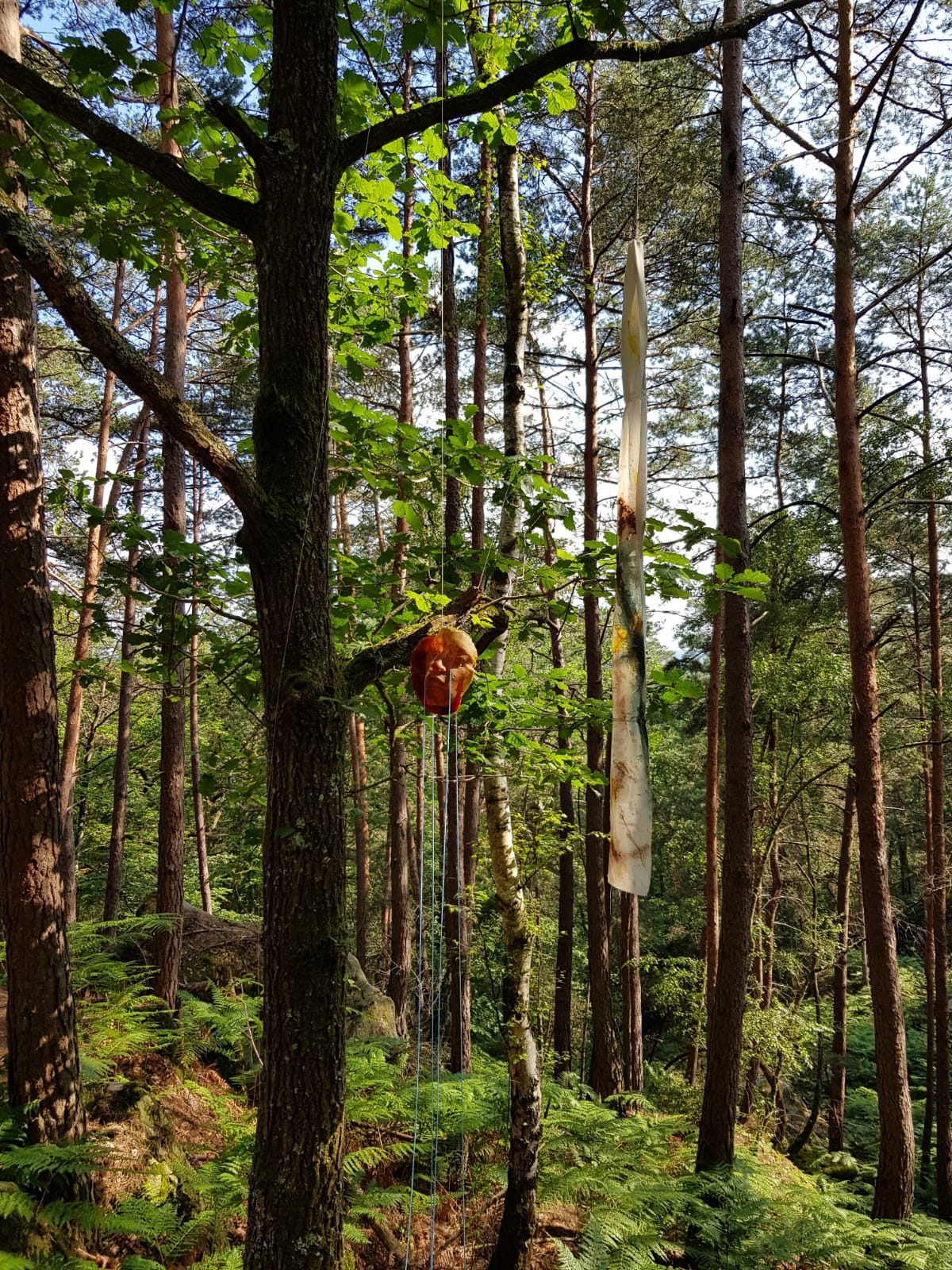 Parcours artistique en forêt de Fontainebleau, juillet 2021