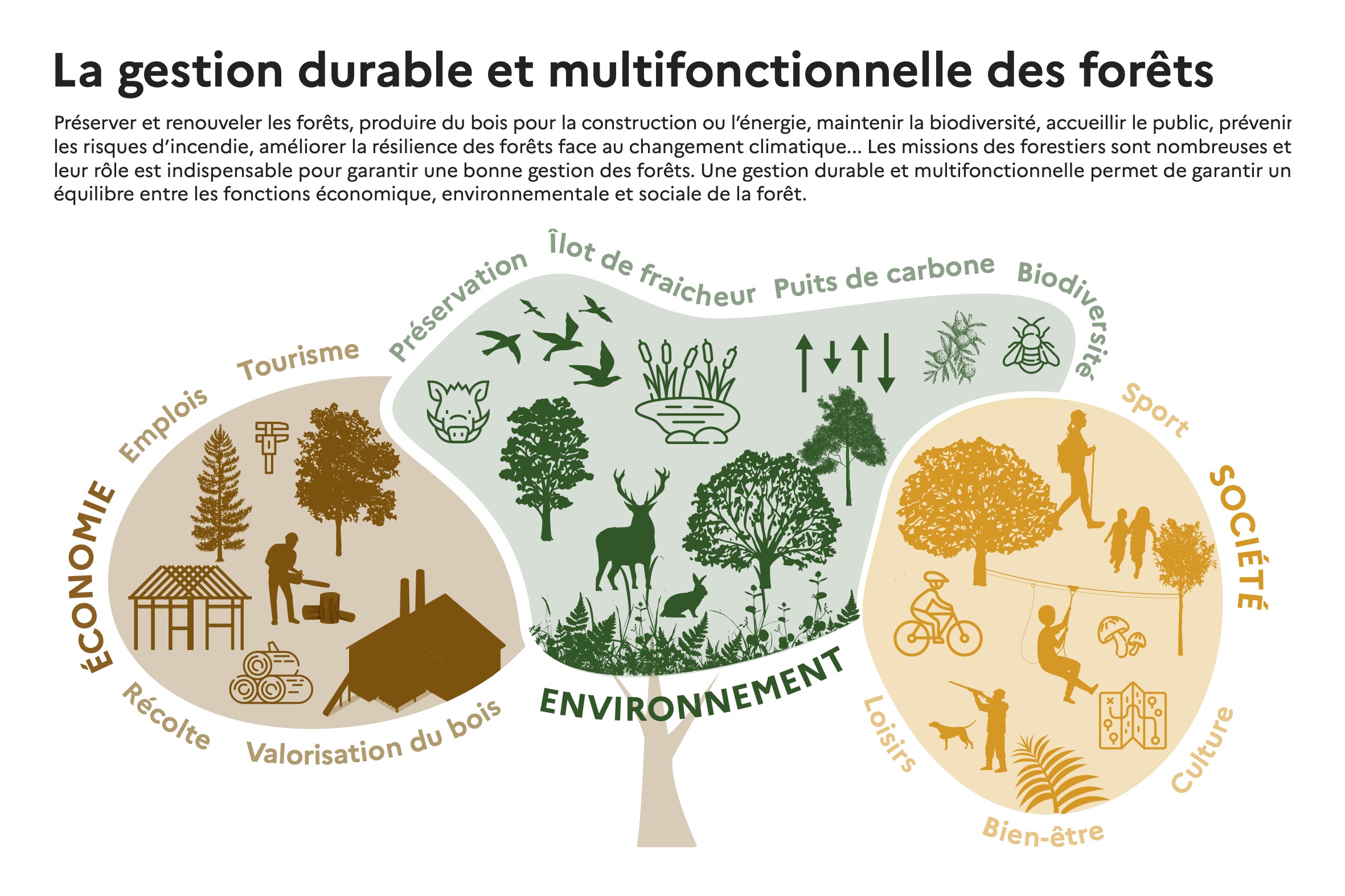  La gestion durable et multifonctionnelle des forêts - Fibois IDF