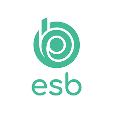 LOGO ESB