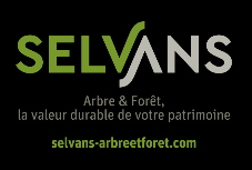 logo selvan